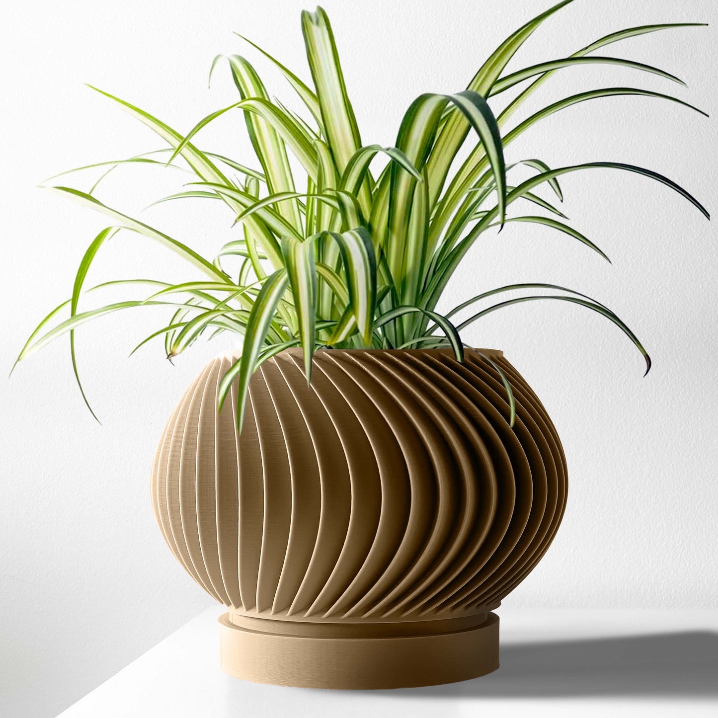 Vaso Caleth di design Arachide