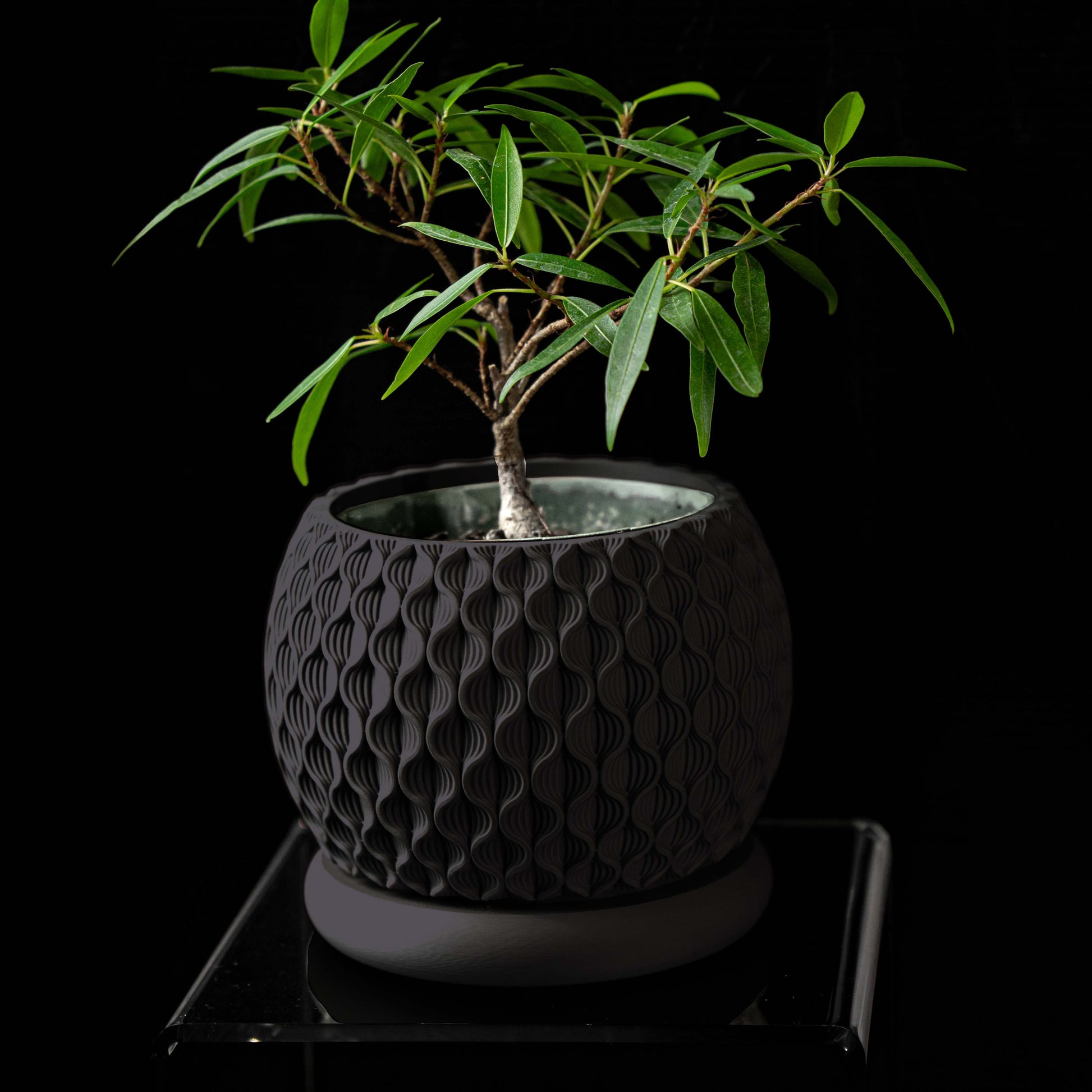 Vaso di design moderno in PLA ecologico NERO ANTRACITE