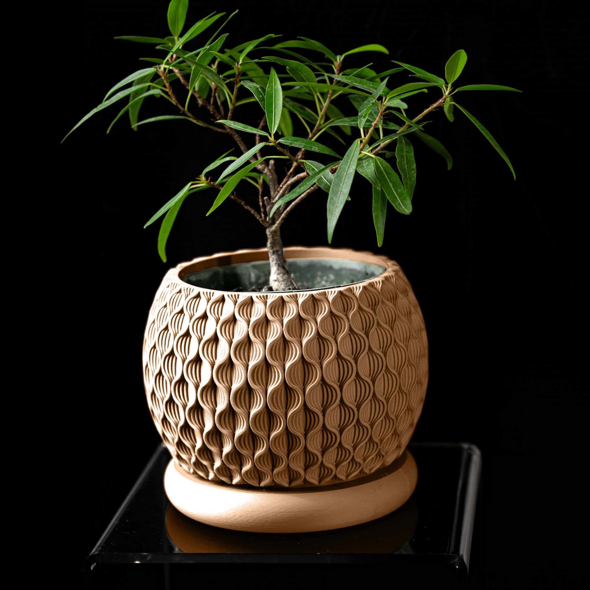 Vaso di design moderno in PLA ecologico ARACHIDE