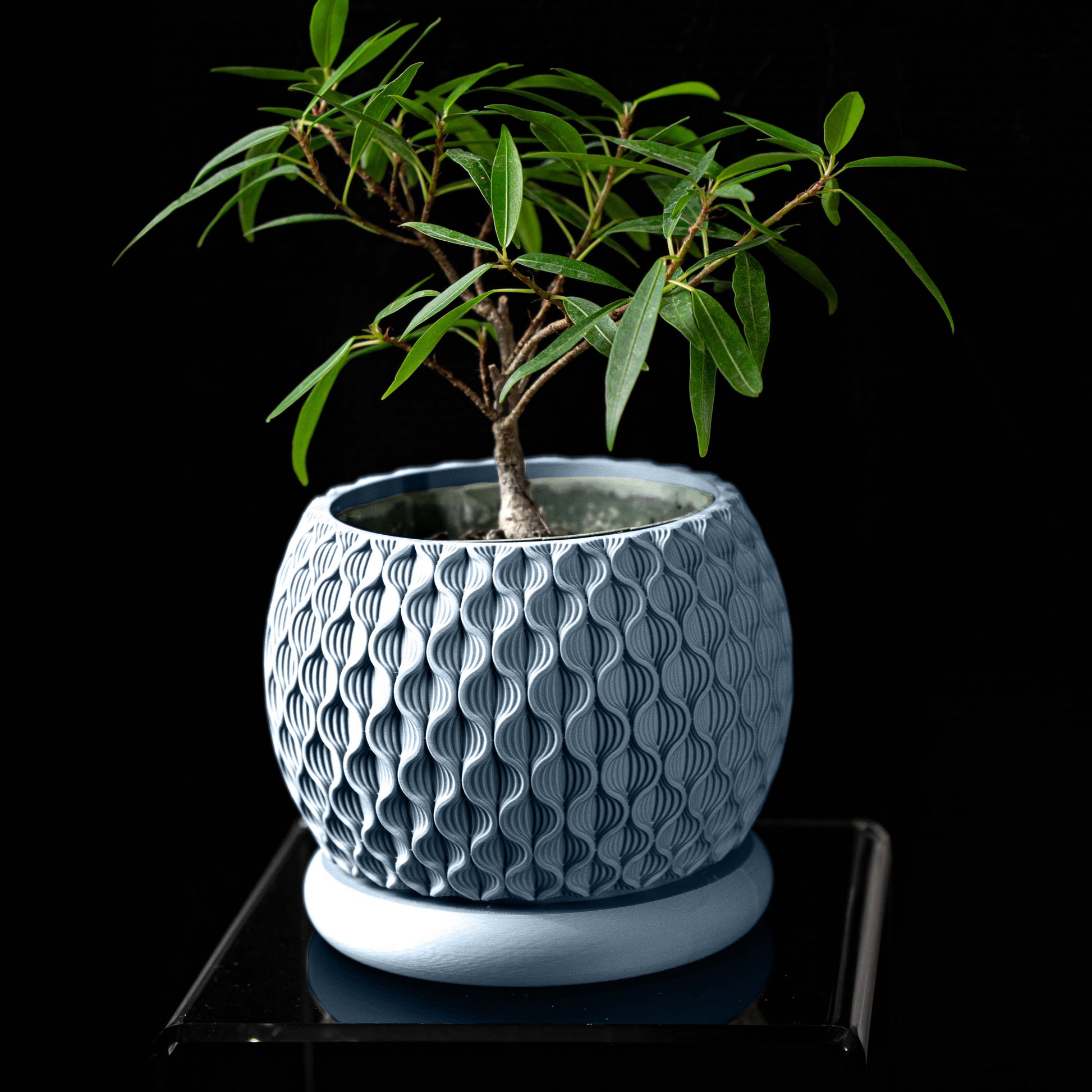 Vaso di design moderno in PLA ecologico BLU PASTELLO | AZZURRO