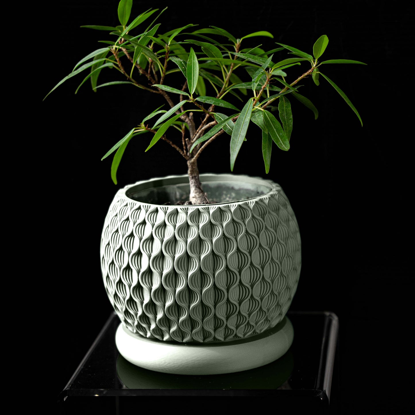 Vaso di design moderno in PLA ecologico VERDE PASTELLO