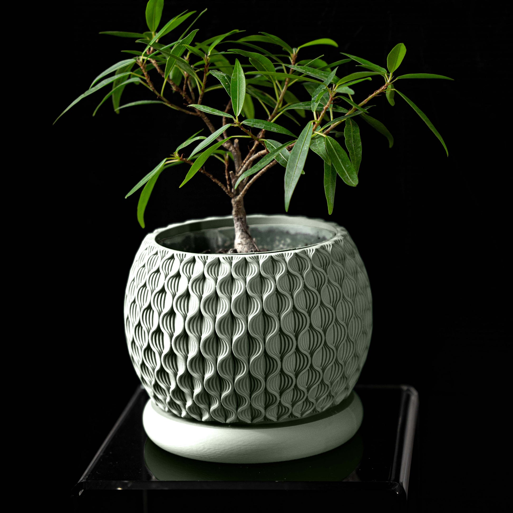 Vaso di design moderno in PLA ecologico VERDE PASTELLO