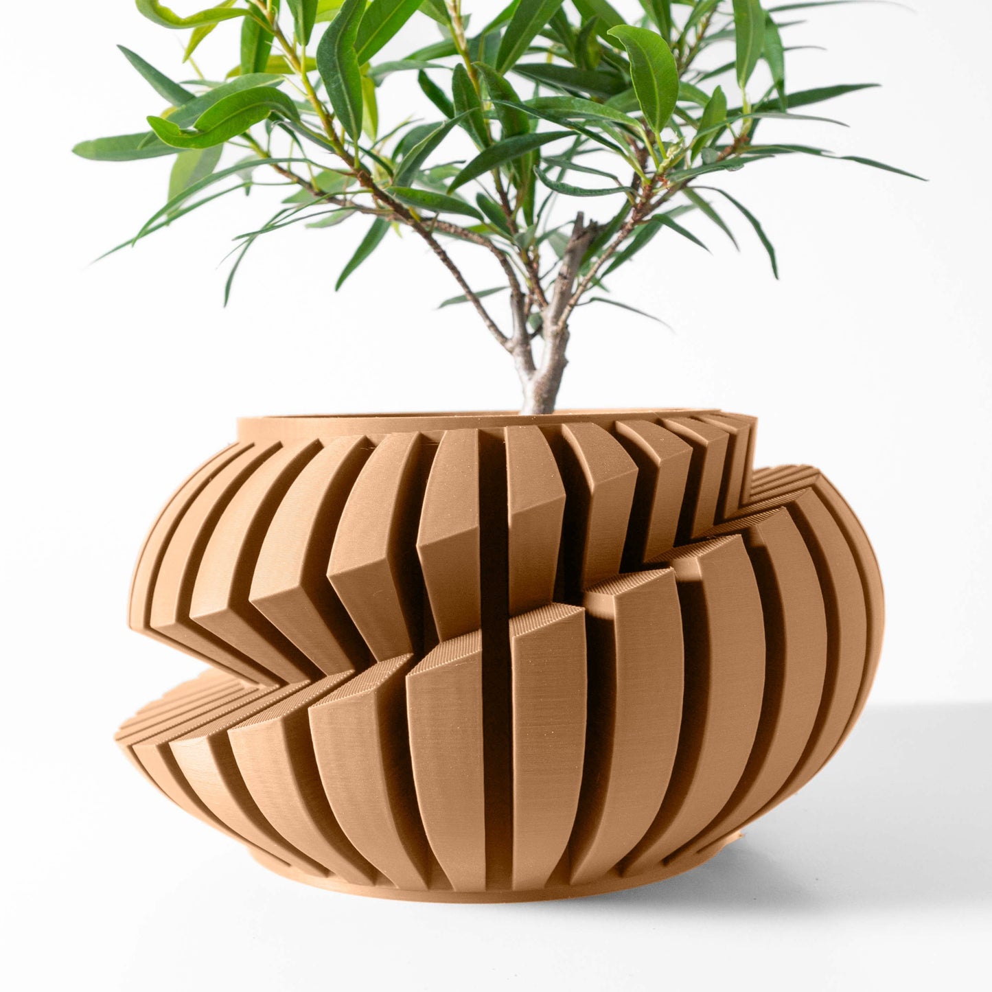 Vaso moderno di design per l'arredamento di ambienti contemporanei