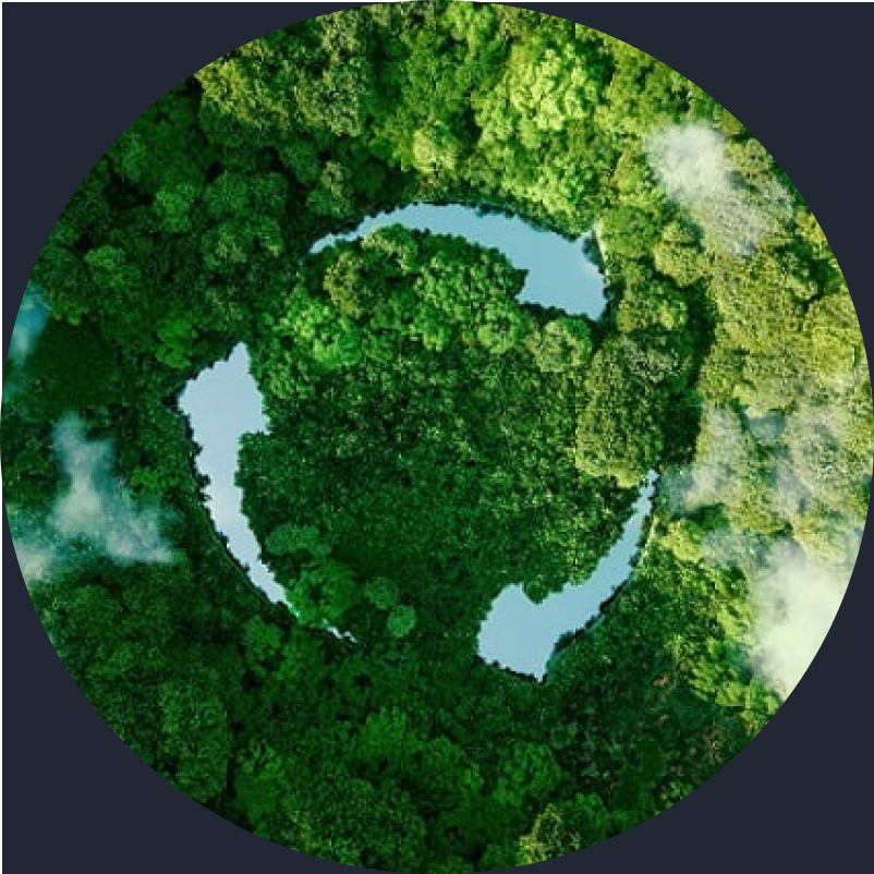 Immagine di sfondo che rappresenta la foresta